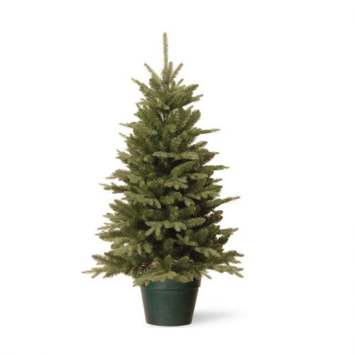 Real Christmas Trees Glasgow