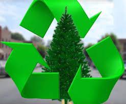 Christmas tree recycling